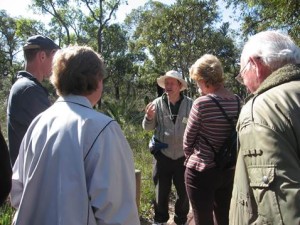 A guide explaining the biology of plants at Wireless Hill
