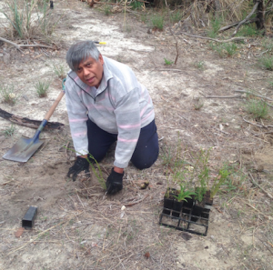 Community member Sunil Jayasekera helping out