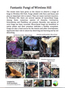 WHFungi