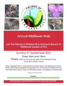 WildflowerWalkFlyer