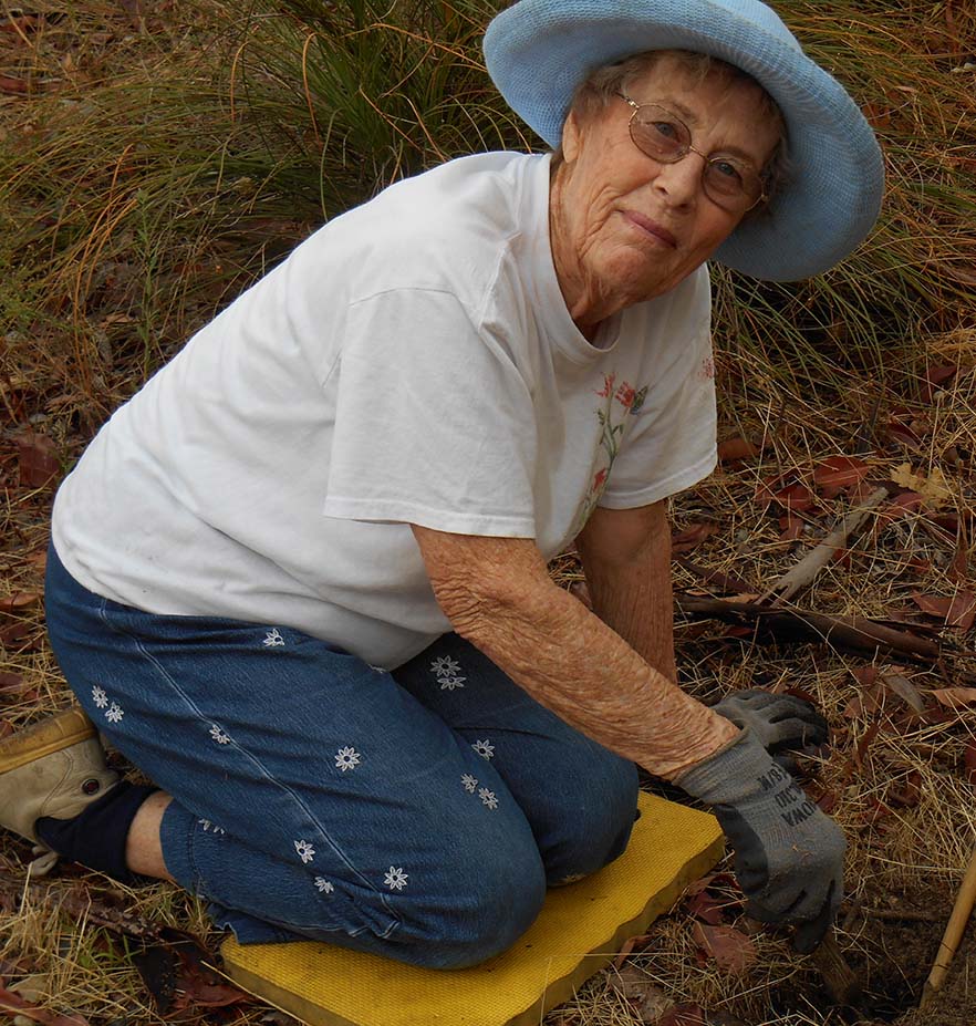 Volunteer1